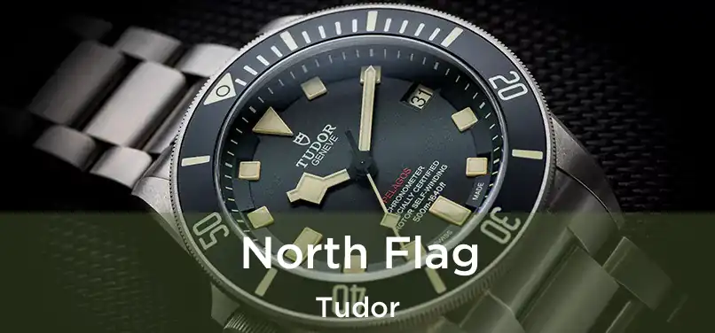  North Flag Tudor