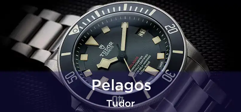  Pelagos Tudor